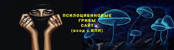 твердый Алексеевка