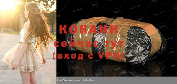 твердый Алексеевка